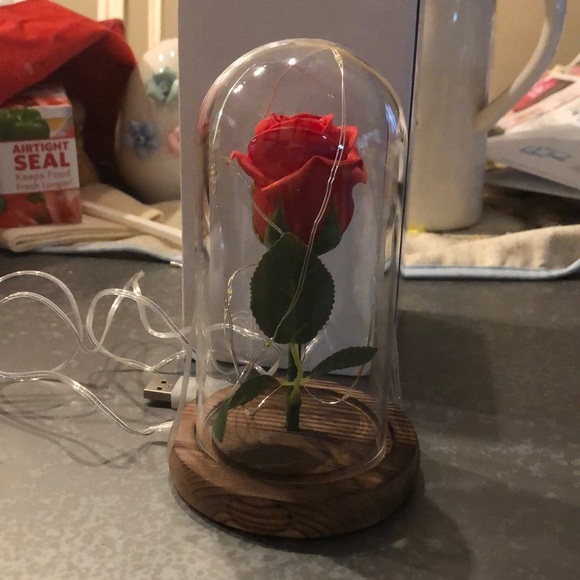 Other - Beauty and the beast rose lights up